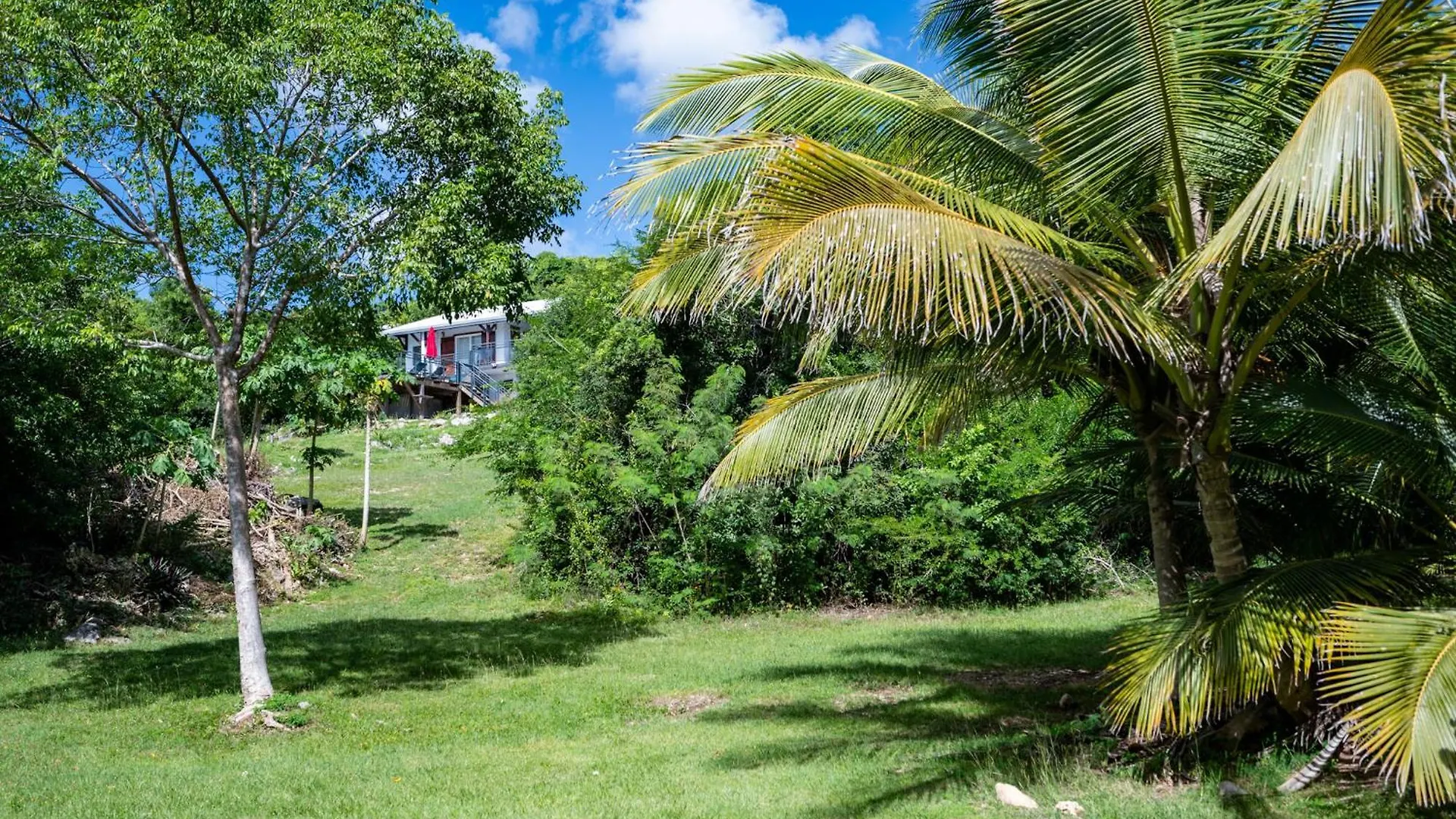 Villa Bwacajou Beaurenom Guadalupa