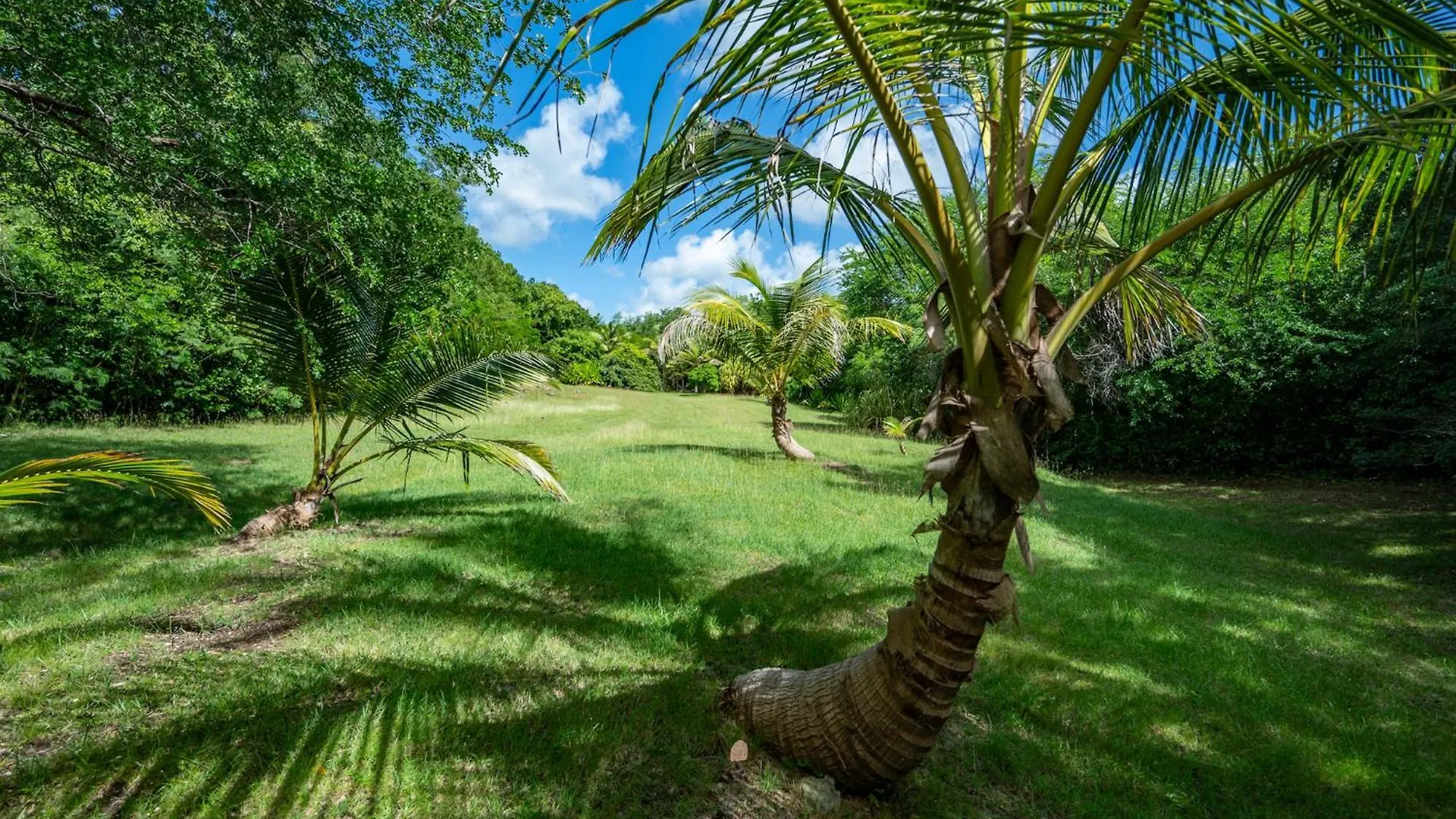 Villa Bwacajou Beaurenom
